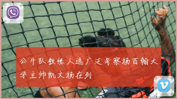 公牛队教练人选广泛考察杨百翰大学主帅凯文杨在列