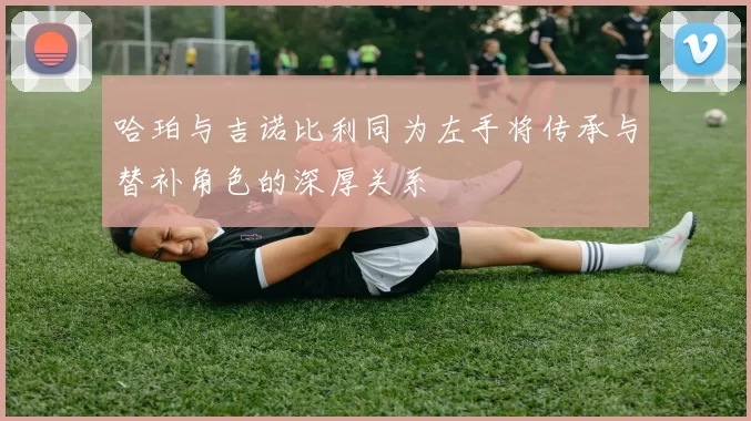 哈珀与吉诺比利同为左手将传承与替补角色的深厚关系